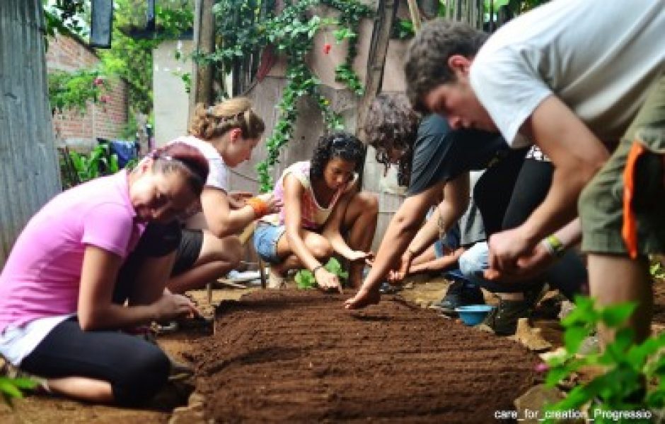 Volunteers-planting-seeds-395x252