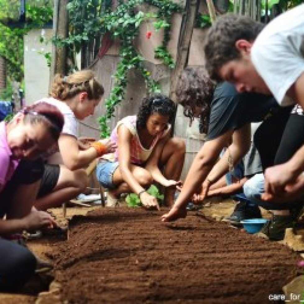 Volunteers-planting-seeds-395x252