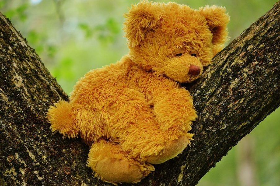 teddy bear 792191_640